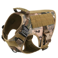 My Alpha Store