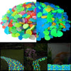 Glow-in-Dark Garden Pebbles